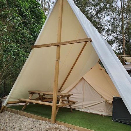 Bungalows Y Glamping Medina Sidonia Exteriér fotografie