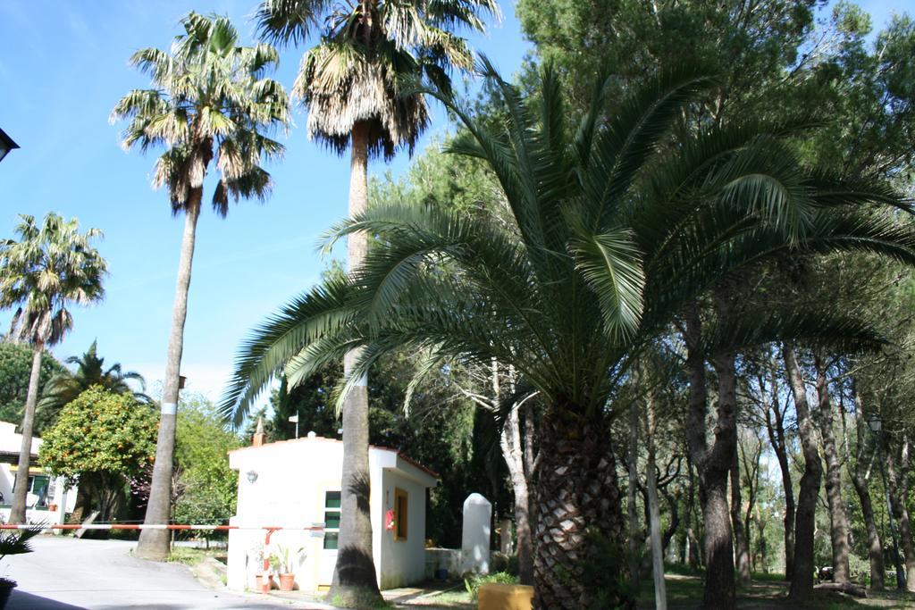 Bungalows Y Glamping Medina Sidonia Exteriér fotografie